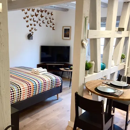 Le 1586 - Centre Historique Apartment *