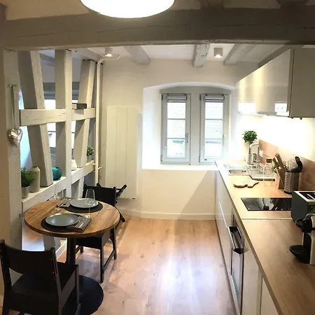 Apartment Le 1586 - Centre Historique Colmar